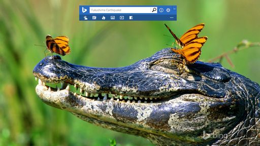 Bing Desktop