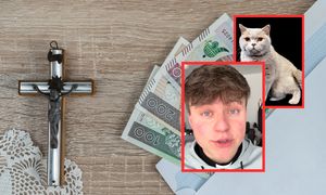 Szok podczas kolędy. Kot podpalił sobie ogon