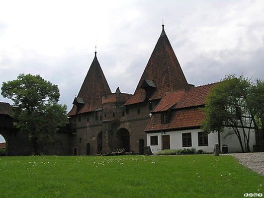 Obraz