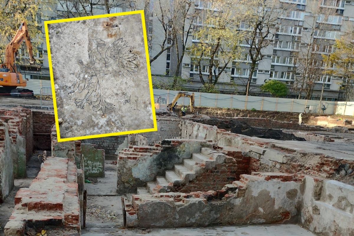 Odkopali piwnicę na ul. Twardej w Warszawie. "Dość szokujące" odkrycie