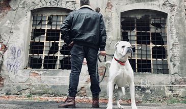 Kryminalna historia z ulic Wrocławia