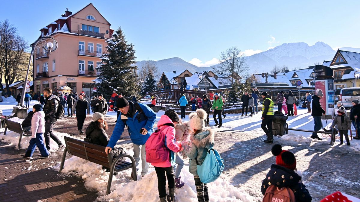 Ceny są nieznacznie wyższe niż rok temu 
