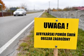 Kontrola w zakładach mięsnych i sklepach. Odmawiają przyjmowania wieprzowiny