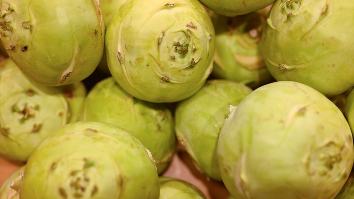 Kalarepa wykazuje działanie przeciwnowotworowe