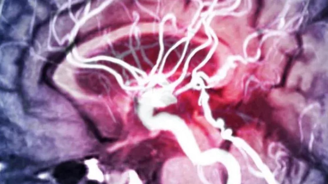 Zdjęcie ilustracyjne.