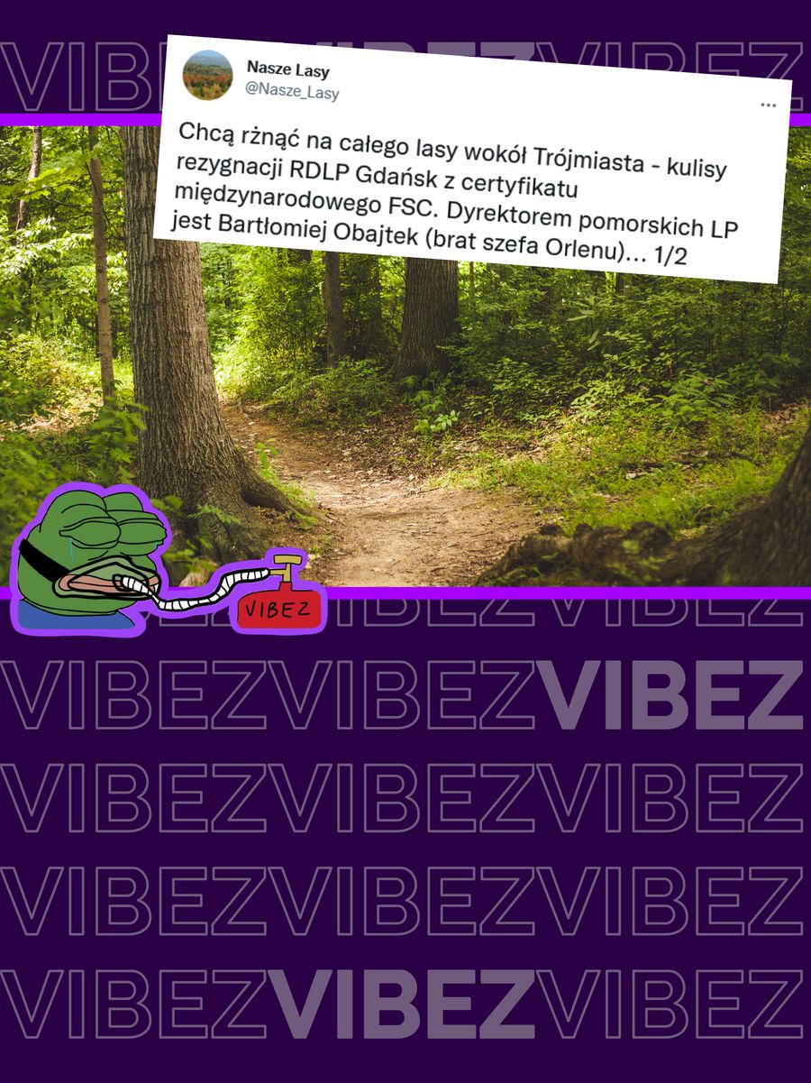 lasy pomorze