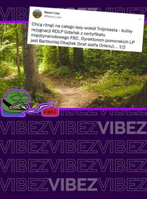 Brat Obajtka zagraża lasom? Ekolodzy alarmują: "Chcą rżn*ć lasy wokół Trójmiasta"