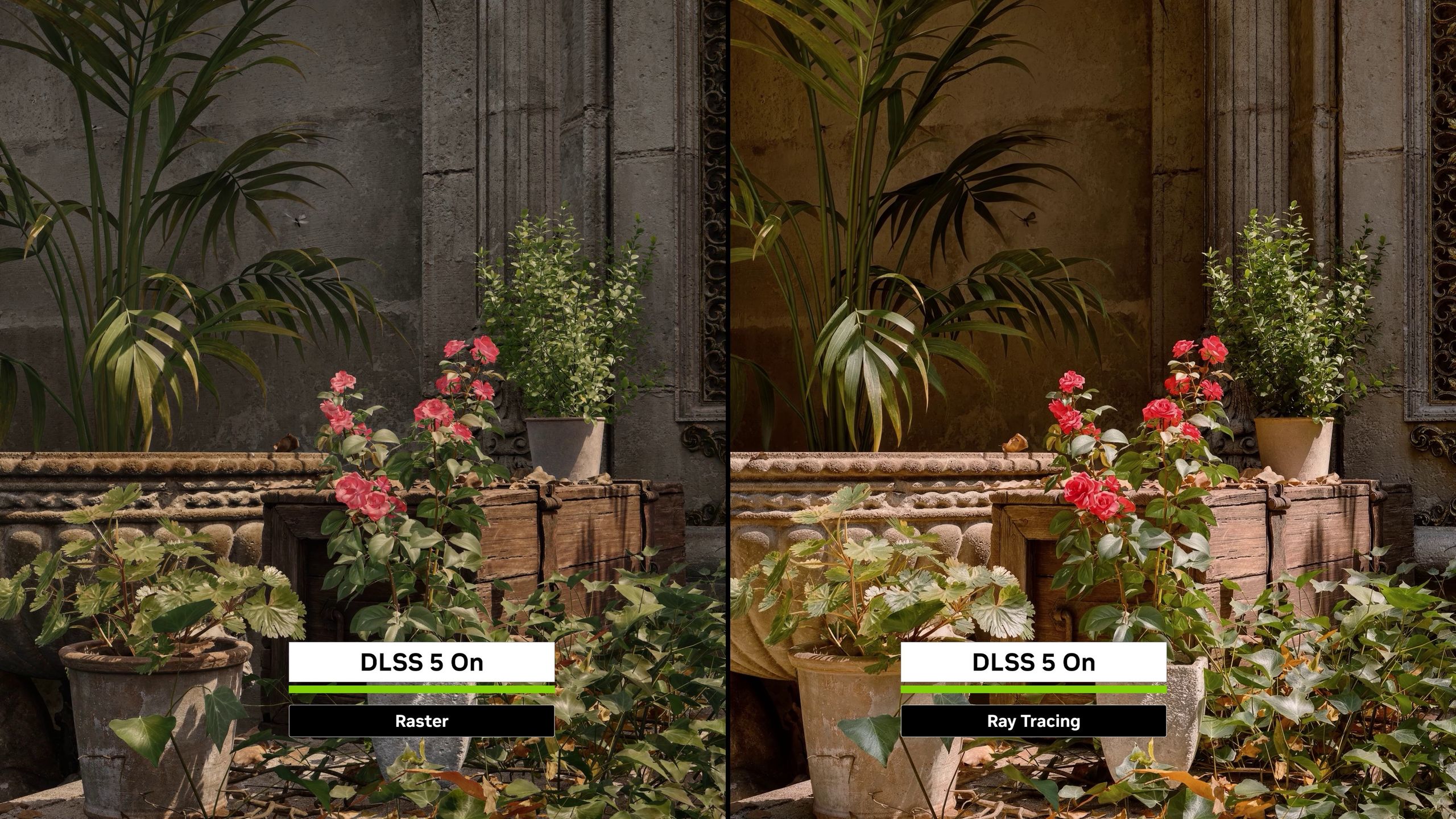 NVIDIA DLSS 5