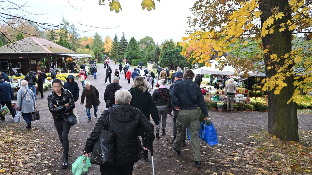 Zdjęcie ilustracyjne. 
