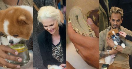 "Żona Hollywood" Iwona Burnat śmieje się i popija wino, a jej ukochany wymachuje grubym plikiem banknotów (ZDJĘCIA)
