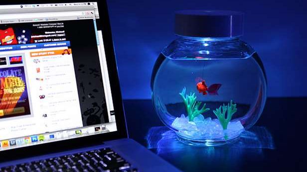 Elektroniczna złota rybka - ulubione zwierzątko geeka 1