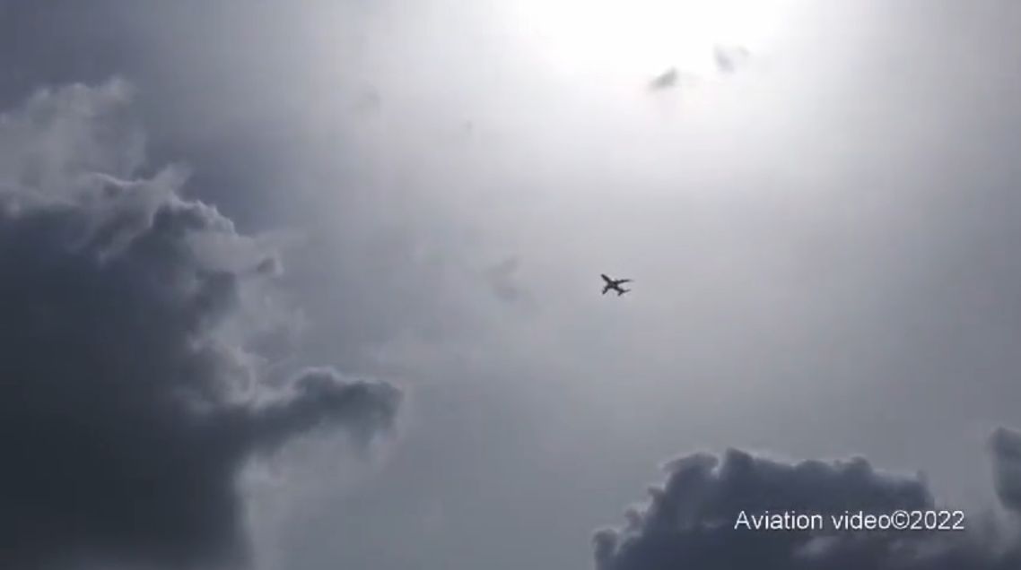 IL-80