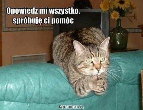 Dziś Dzień Kota. Oto memy z tej okazji 