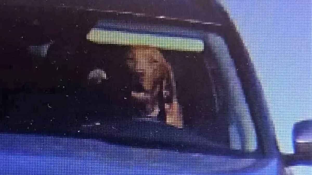 Zdjęcie z fotoradaru 