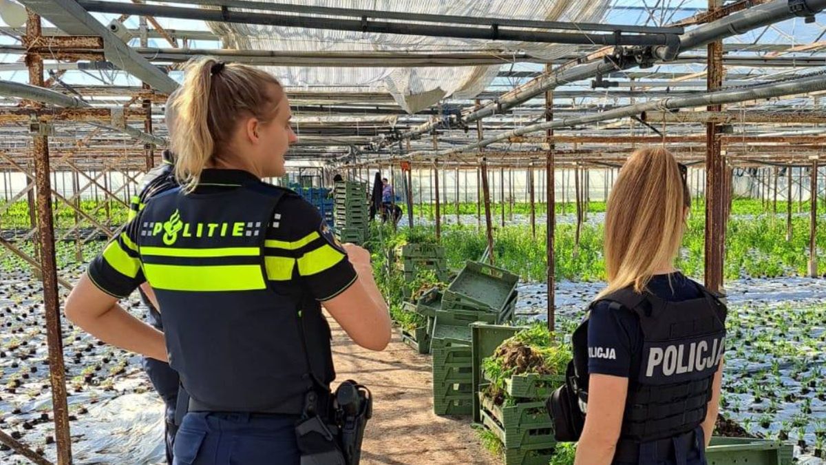 Funkcjonariusze z Polski skontrolowali m.in. fabryki