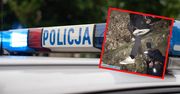 Nietypowa interwencja policjantów. 44-latek nie mógł się wydostać