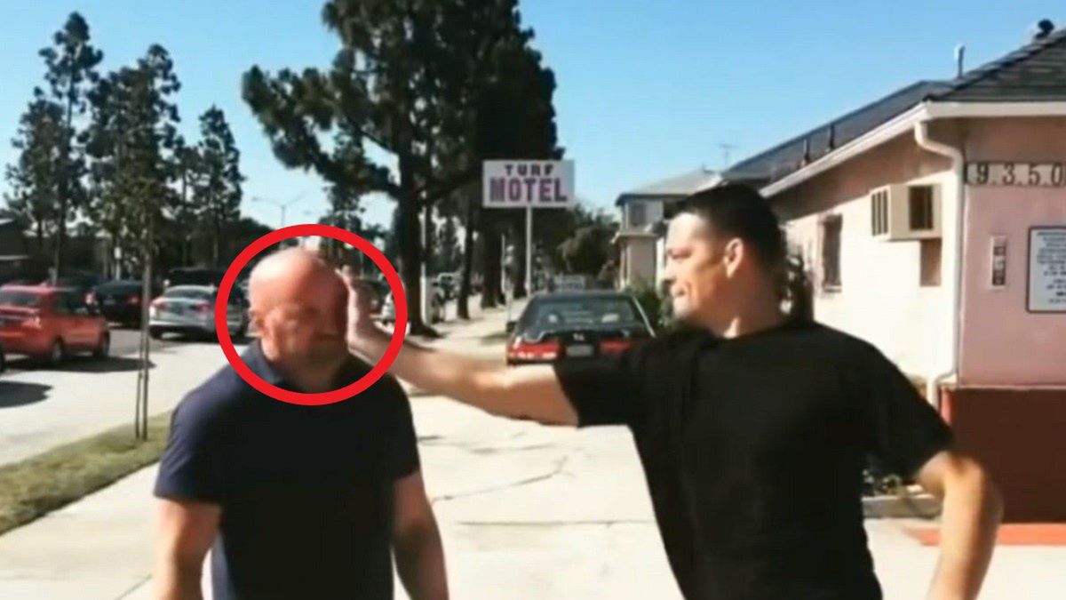 Dana White testuje potencjał slap fightingu