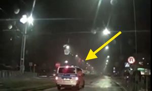Sceny w Szczecinie. Nagrali policję na przejściu