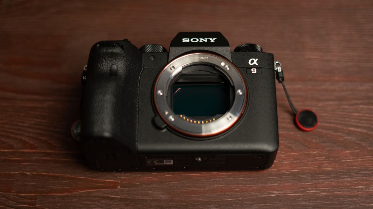 Sony A9 II to definicja dwóch słów: jakość i ergonomia 1