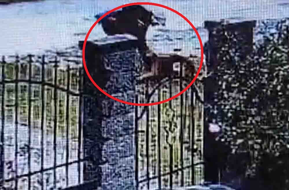 Kłodzko: Od miesięcy katował psa. Czworonóg zdołał uciec od oprawcy