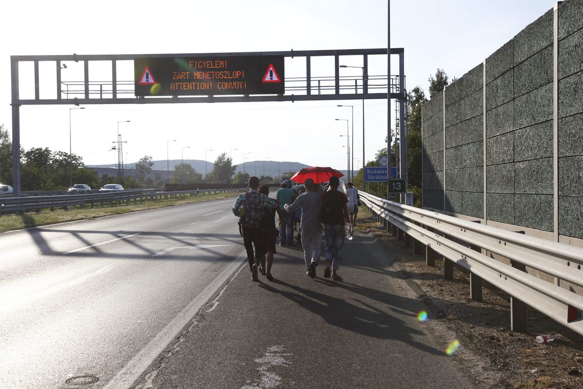 Węgry. 13-latek próbował przewieźć uchodźców przez granicę z Austrią 