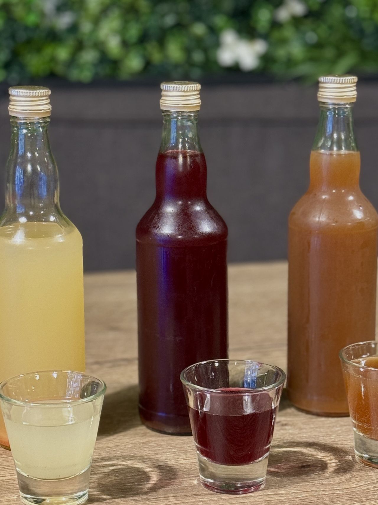 Trzech muszkieterów odporności z Chwast Prast