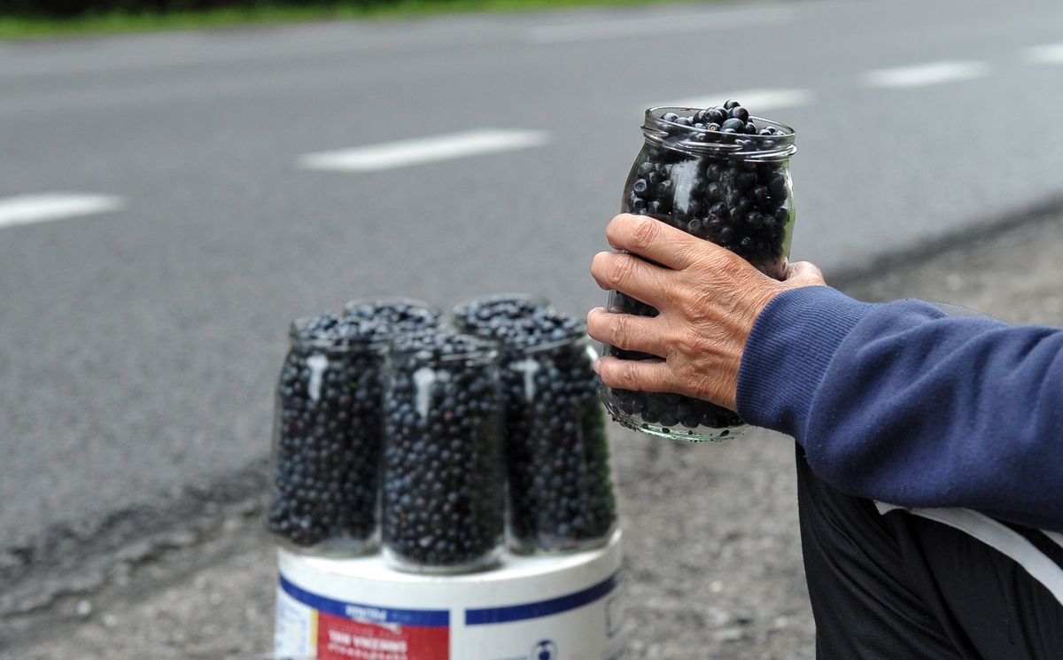 W słoiku mieści się 0,6 kg jagód 