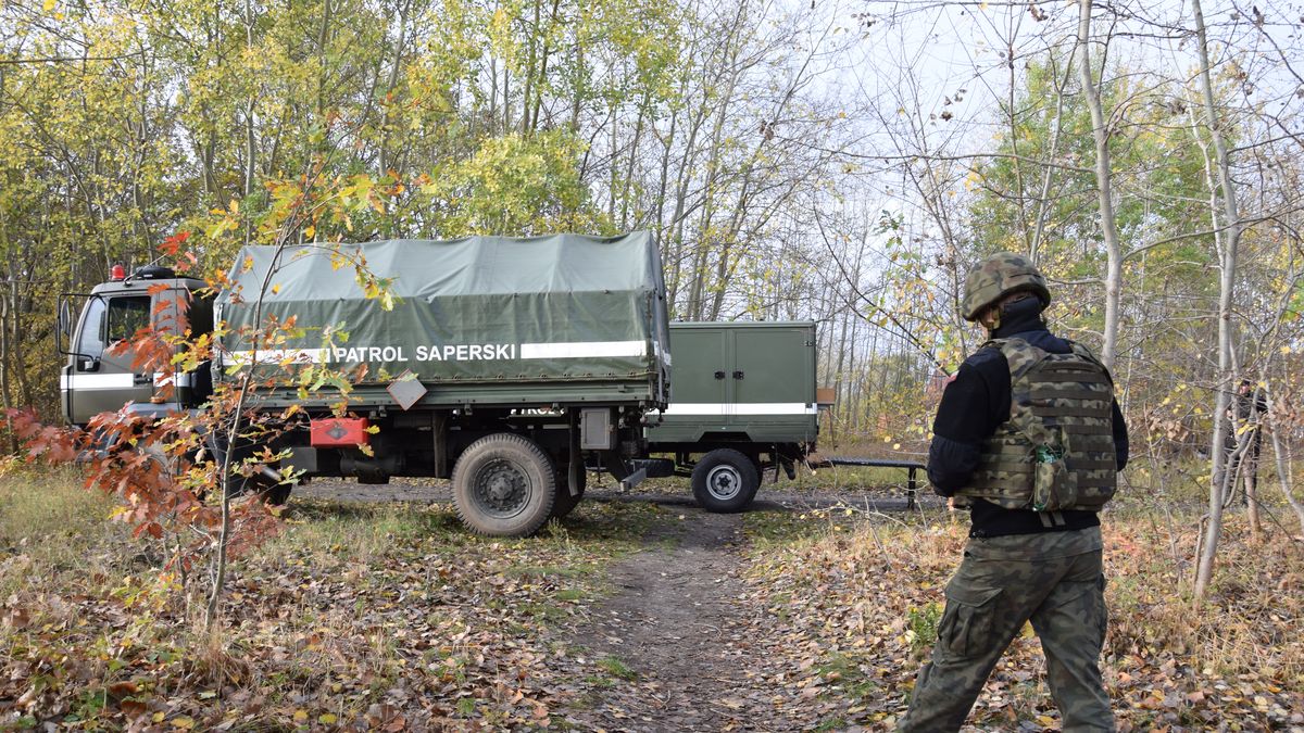 Zdjęcie ilustracyjne.