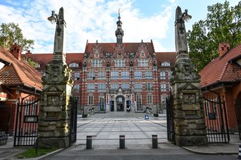 Naukowcy z Politechniki Gdańskiej zamienili kapustę pekińską w... materiał do sensorów