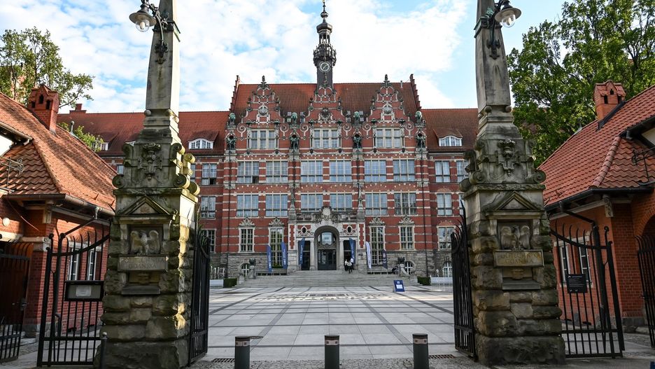 Naukowcy z Politechniki Gdańskiej zamienili kapustę pekińską w materiał do sensorów