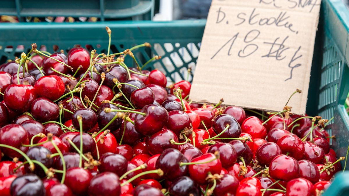 Ma�gorzata Sawoch
Gorz�w Wielkopolski, ceny, owoce, rolnicy, rynek, targowisko, warzywa, zakupy, bazar, cena, handel, sprzeda, sprzeda�