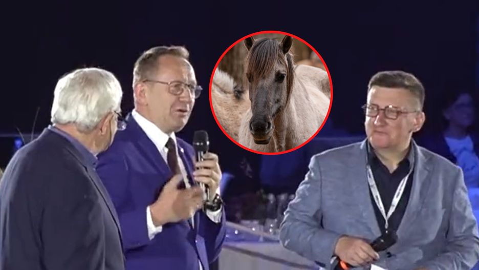 Minister szkalował koniki polskie
