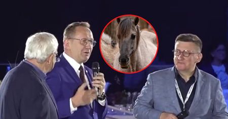 Minister rolnictwa śmieje się z koników polskich. "Piękne swoją brzydotą"