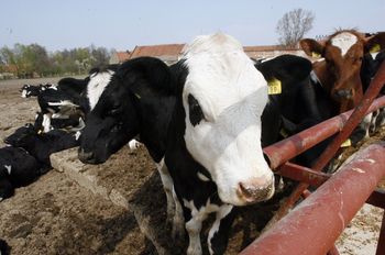 Nie wszędzie są cięcia. Te płatności dają więcej niż w 2024 r.