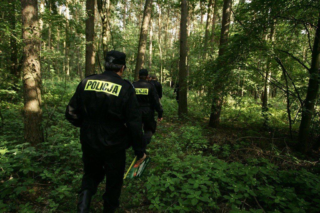 Powiat świecki: 68-latka zgubiła się podczas grzybobrania. Noc spędziła w lesie