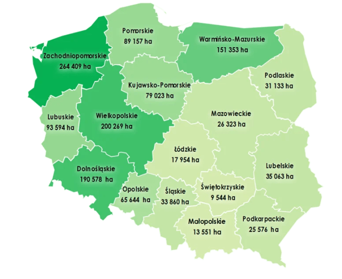 Rolnicy nie chcą kupować ziemi, wolą dzierżawę. Rekordowy rok