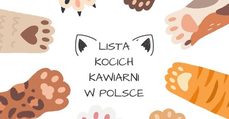 Kocia kawiarnia w Polsce – aktualna lista