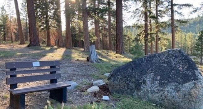 Procter&amp;Gamble przetwarza plastikowe butelki na ławki