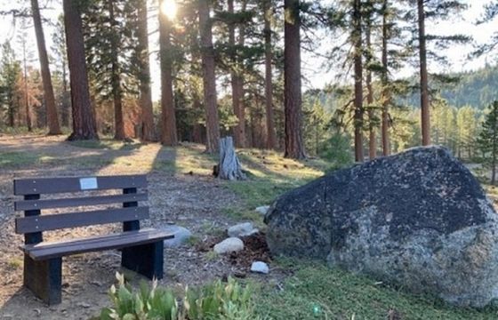 Procter&amp;Gamble przetwarza plastikowe butelki na ławki