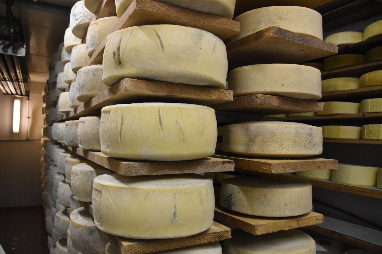 Opłaty dobijają 100-letnią mleczarnię. "Pracujemy charytatywnie, aby opłacić rachunki za gaz"