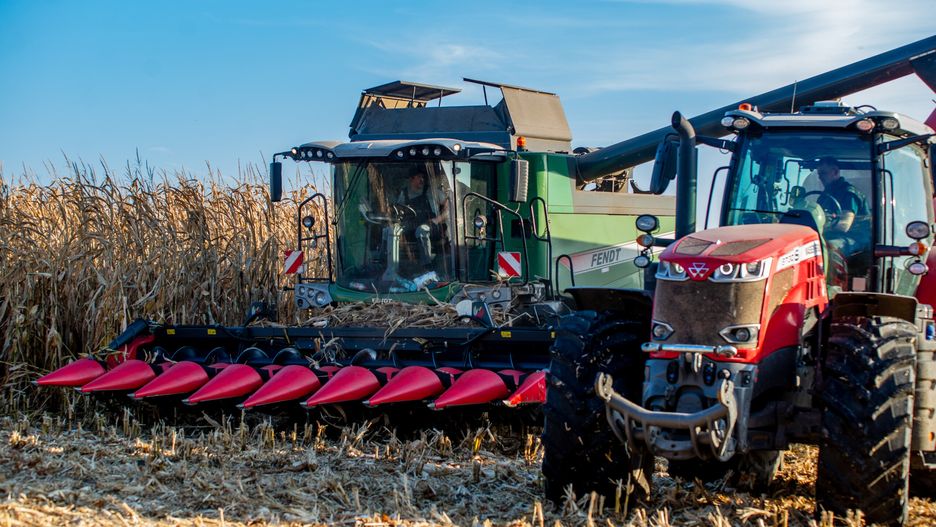 żniwa kukurydzy
Mazowsze pow. radomski gm. Potworów

Fendt &amp; Massey Ferguson