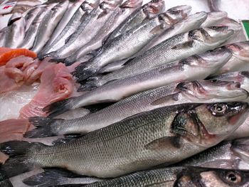 Bije na głowę łososia. "Najzdrowsza ryba świata"