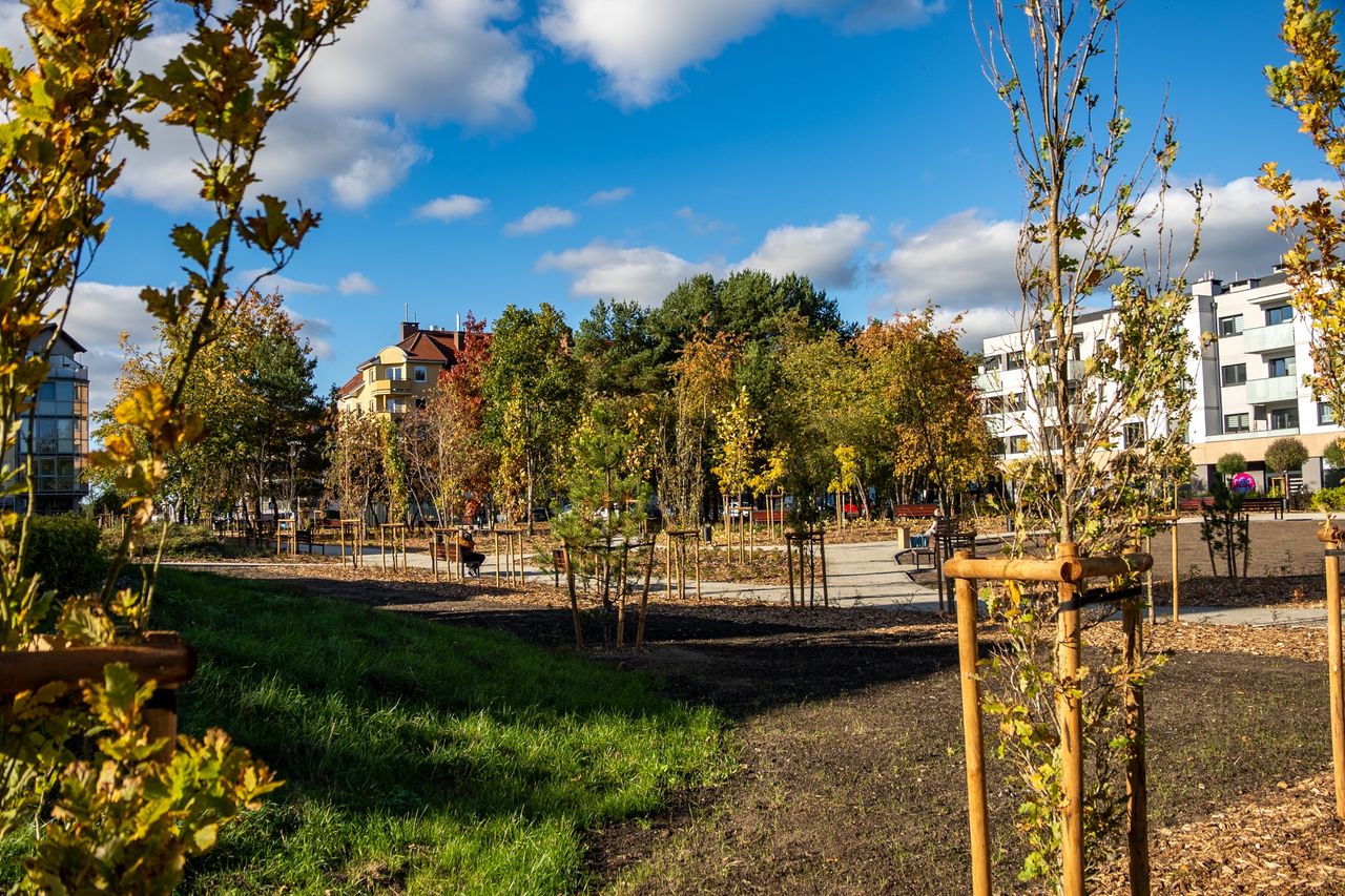 Rynek Koszycki w Pile po przebudowie
