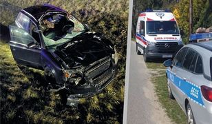 Zderzenie z łosiem pod Olsztynem. Kierowcy nie mogli go ominąć