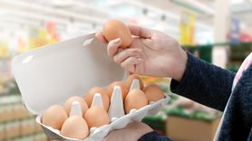 Jajka bezpieczne dla cukrzyków. Nie powodują problemów z sercem (WIDEO)