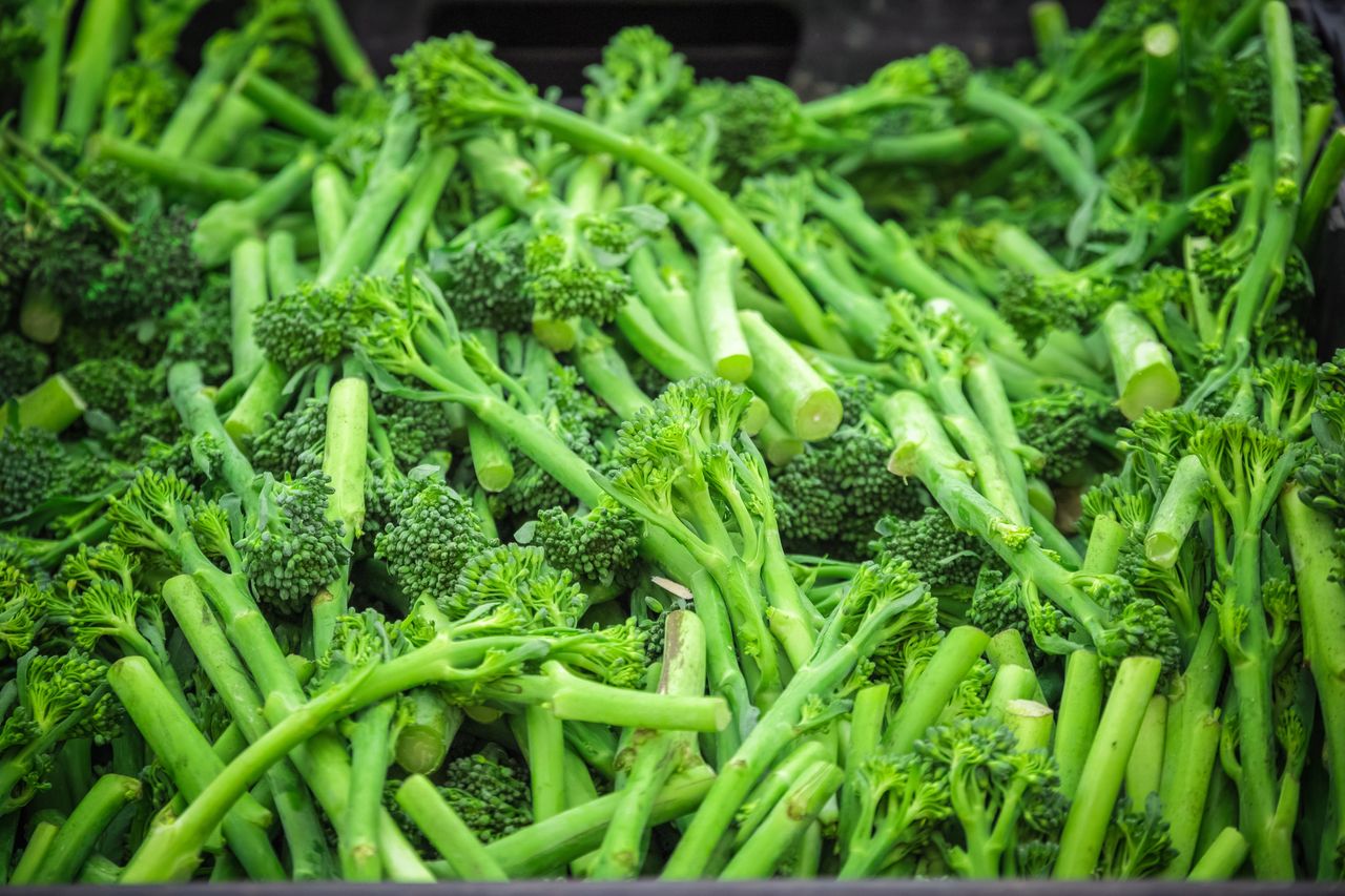 Stem broccoli: From gourmet tables to everyday kitchens