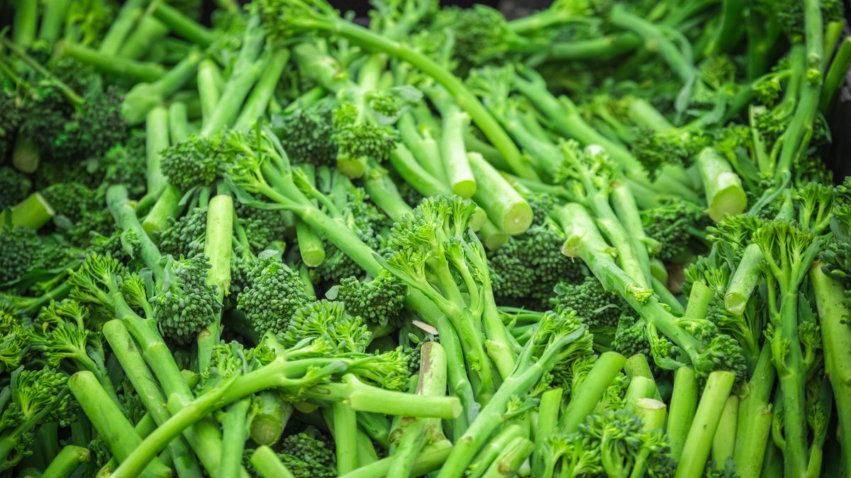 Fresh broccolini on display at Broadway Market, a street market in Hackney, East London
I-Wei Huang
Asparation, Borough, Britain, British, Broadway, Broadway Market, Brocolette, Brocoletti, England, Europe, Hackney, London, London Fields, Sweet Baby Broccoli, UK, attraction, background, bimi, broccoli, broccolini, close up, closeup, diet, display, floret, food, fresh, green, greengrocer, greengrocery, grocery, healthy, hipster, landmark, long, loose, market, marketplace, organic, outdoor, produce, retail, sightseeing, stalk, stall, stem, street, tenderstem, texture, tourism, tourist, united kingdom, veg, vegetable, veggie, asparation, borough, britain, british, broadway, broadway market, brocolette, brocoletti, england, hackney, london, london fields, sweet baby broccoli, uk, background, bimi, broccoli, broccolini, close up, closeup, diet, display, floret, food, fresh, green, greengrocer, greengrocery, grocery, healthy, long, loose, market, marketplace, organic, outdoor, produce, retail, sightseeing, stalk, stall, stem, street, tenderstem, texture, tourist, united kingdom, veg, vegetable, veggie