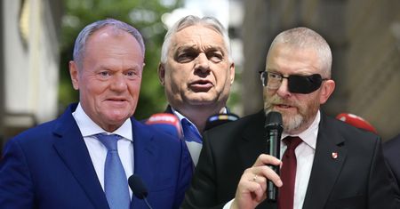 Zarzuty dla Brauna, Sikorski komentuje doniesienia ws. Orbána [SKRÓT DNIA]