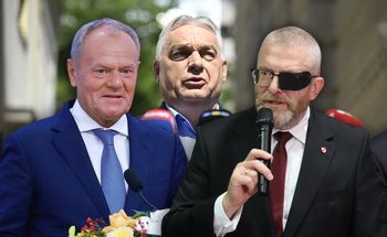 Zarzuty dla Brauna, Polska komentuje doniesienia ws. Orbana [SKRÓT DNIA]