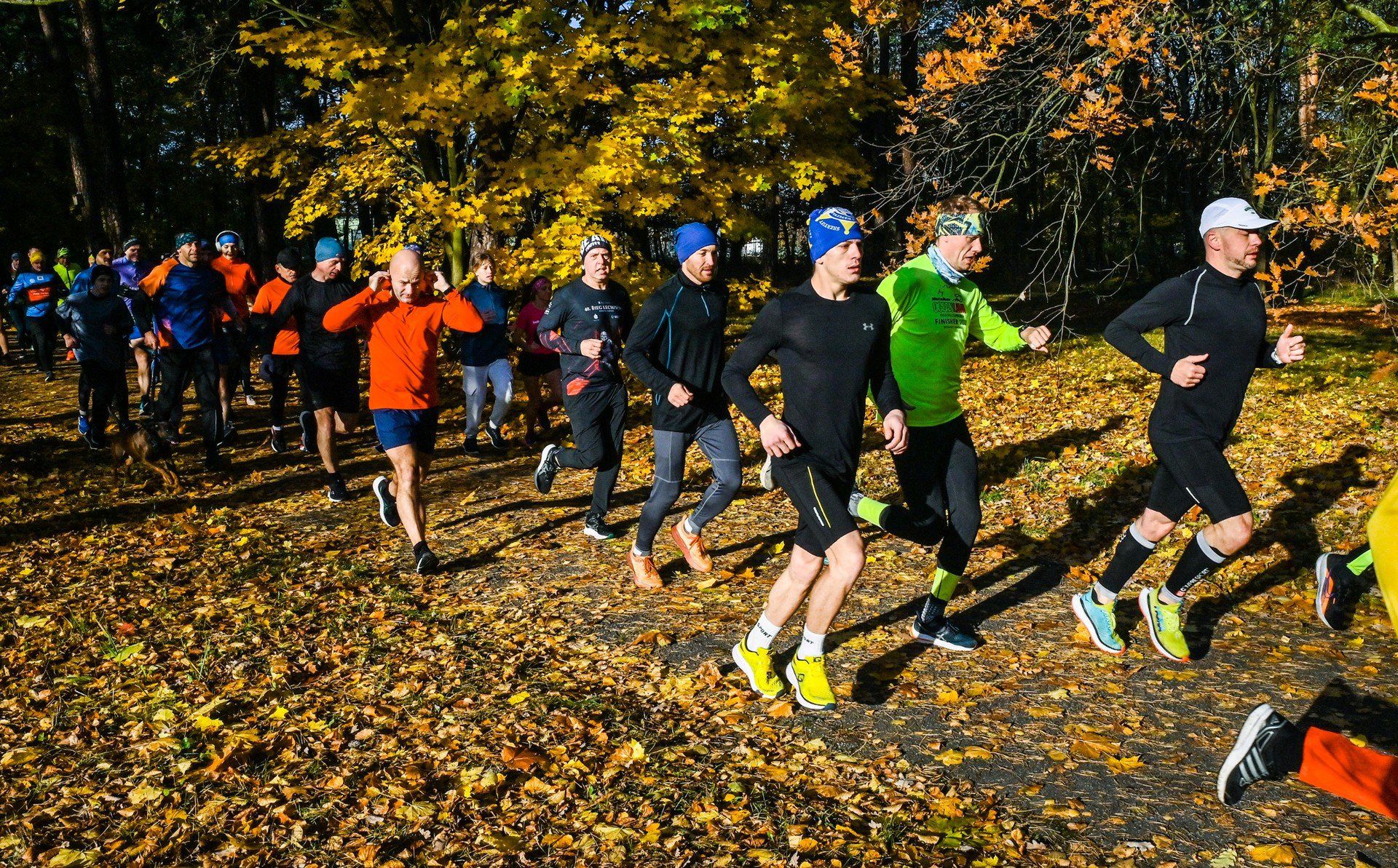 Parkrun Bydgoszcz 1.11.2025